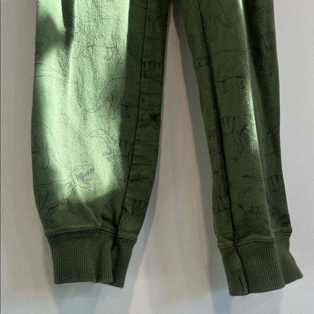 Carter's Olive Green Dinosaur Hoodie and Jogger Set boys size 6